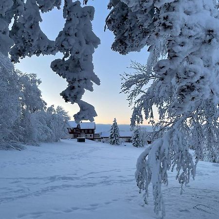 Gemuetliche Ferienwohnung Harz Braunlage Hohegeiss Экстерьер фото