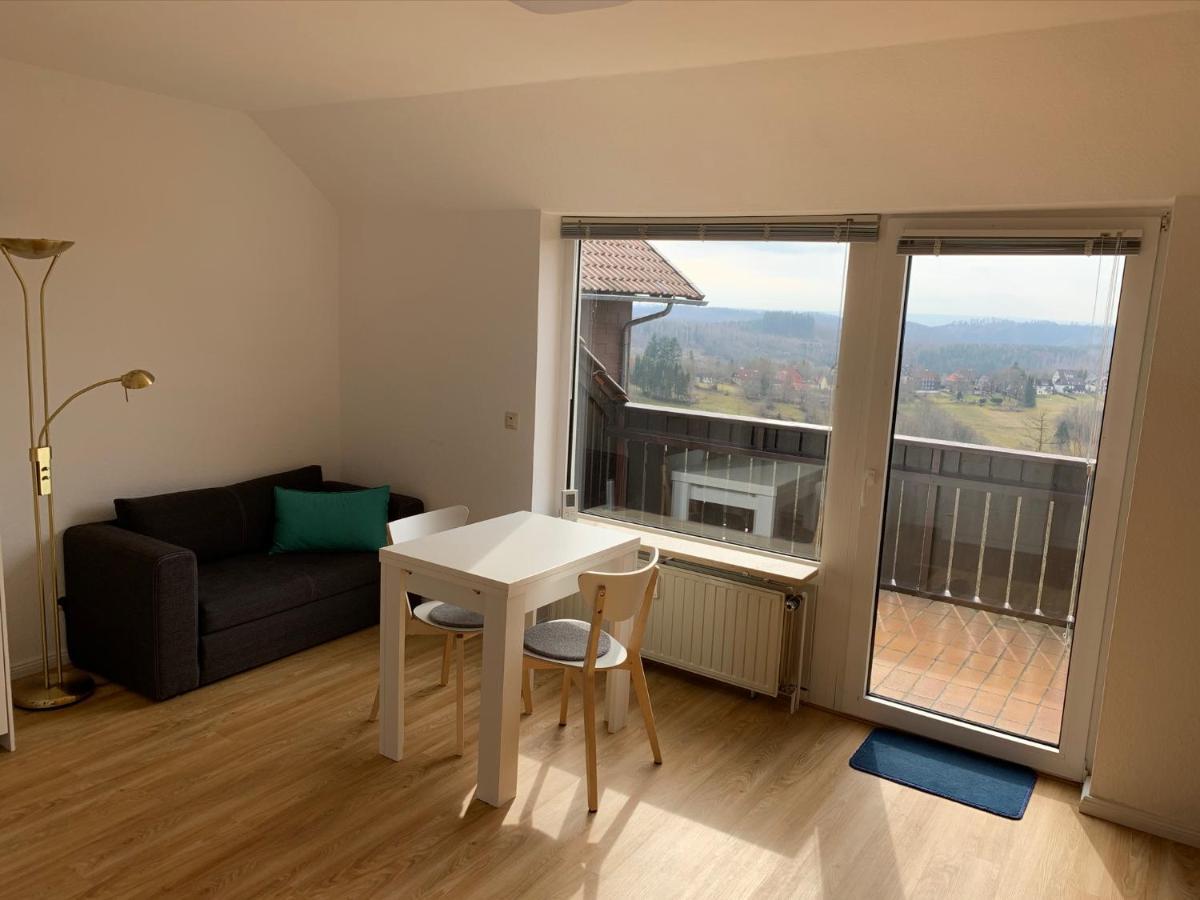 Gemuetliche Ferienwohnung Harz Braunlage Hohegeiss Экстерьер фото