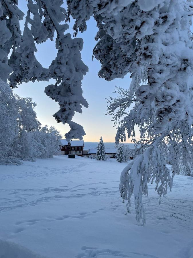 Gemuetliche Ferienwohnung Harz Braunlage Hohegeiss Экстерьер фото